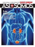 Así Somos - El cuerpo humano